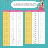 Baby Weight Chart During Pregnancy In Pounds And Ounces