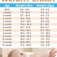 Baby Weight Chart Lbs Boy