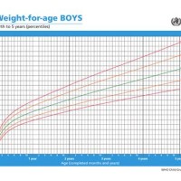 Baby Weight Chart Up To 5 Years