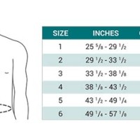 Back Brace Size Chart