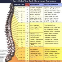 Back Nerve Pain Chart