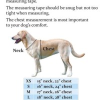 Banded Dog Vest Size Chart