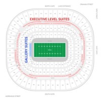 Bank Of America Stadium Suite Seating Chart