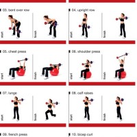 Barbell Exercises Chart