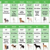 Barefoot Dreams Dog Sweater Size Chart