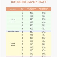 Basal Body Temp Chart Showing Pregnancy