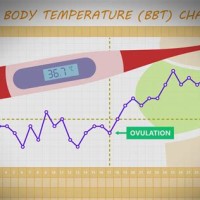 Basal Body Temperature Chart After Pregnancy