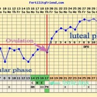 Basal Body Temperature Pregnancy Chart