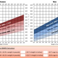 Basal Metabolic Rate Chart By Age