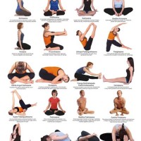 Basic Yoga Poses Chart With Names