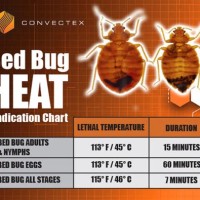 Bed Bug Temperature Chart