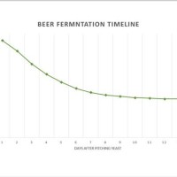 Beer Fermentation Time Chart