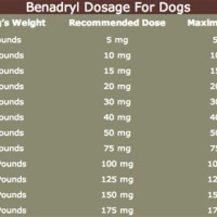 Benadryl Dog Dosage Chart