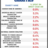 Best And Worst Charities Chart