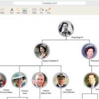 Best Genealogy Chart Maker