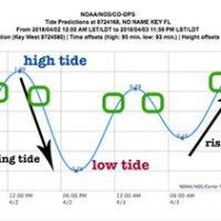 Best Time To Fish Tide Chart