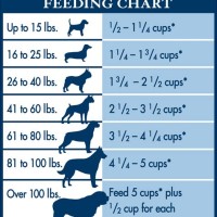 Beta Puppy Food Portion Chart