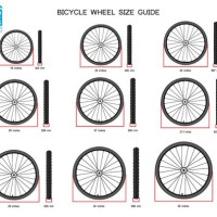 Bicycle Tire Size Chart Height