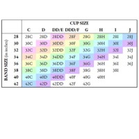 Big Cup Size Chart