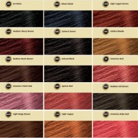 Bigen Sdy Hair Color Chart