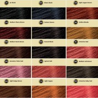 Bigen Semi Permanent Hair Color Chart