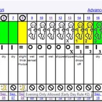 Billings Method Birth Control Chart