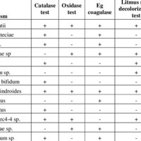 Biochemical Chart For Identification Of Bacteria