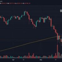 Bitcoin Daily Chart Live