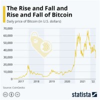 Bitcoin Growth Chart 2021