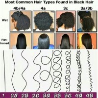 Black Natural Hair Types Chart