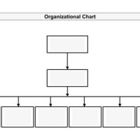 Blank Anizational Chart