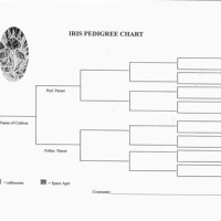 Blank Pedigree Chart For Dogs