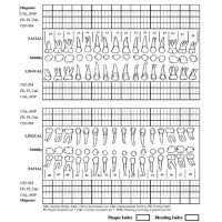 Blank Periodontal Charting Form