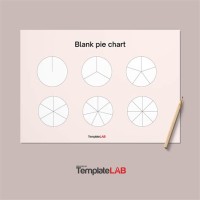 Blank Pie Chart Template