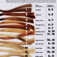 Bleach Hair Color Chart