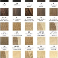 Blonde Hair Colour Chart Loreal