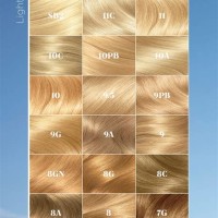 Blonde Hair Dye Colour Chart