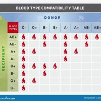 Blood Donor Patibility Chart