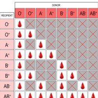 Blood Group Chart Donor And Receiver