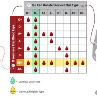 Blood Group Donate Chart