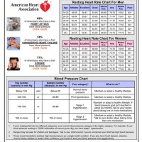 Blood Pressure And Heart Rate Chart Template