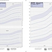 Blood Pressure Centile Charts Infants