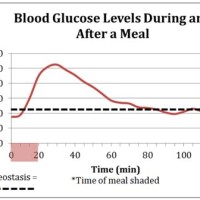 Blood Sugar Level Chart Before And After Eating