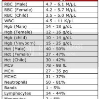 Blood Test Normal Values Chart Nhs