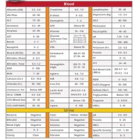 Blood Test Results Normal Range Reference Chart Uk