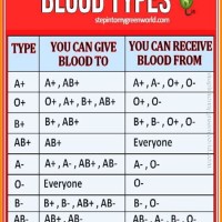 Blood Type Colour Chart