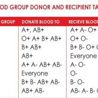 Blood Type Donate And Receive Chart