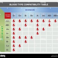 Blood Type Donation And Receiving Chart