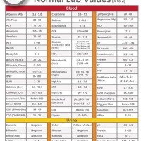 Blood Work Levels Chart