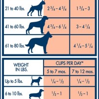 Blue Buffalo Large Breed Puppy Feeding Chart